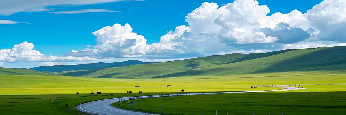 Vast Grasslands and Deserts